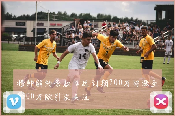 穆帅解约条款临近到期700万将涨至1500万欧引发关注