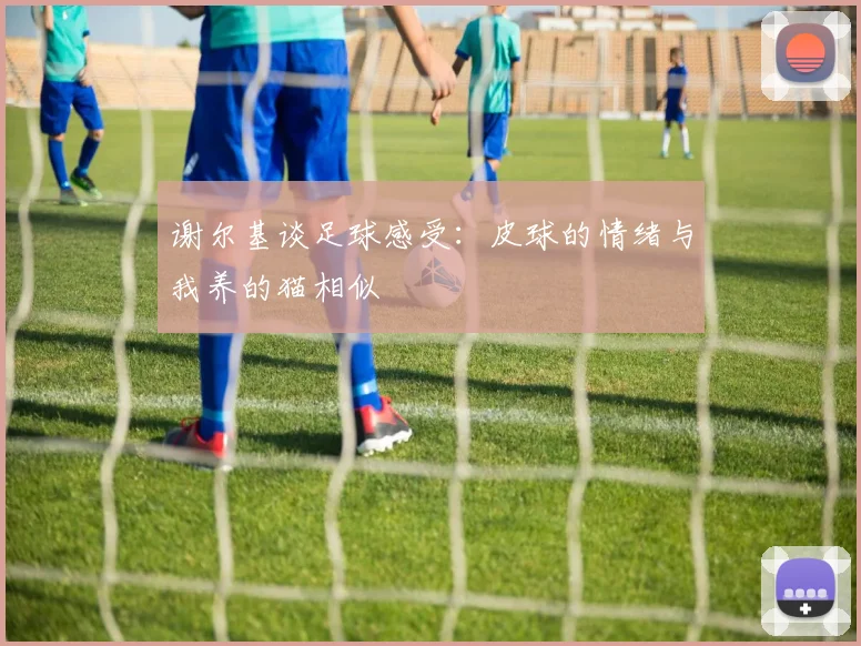 谢尔基谈足球感受：皮球的情绪与我养的猫相似